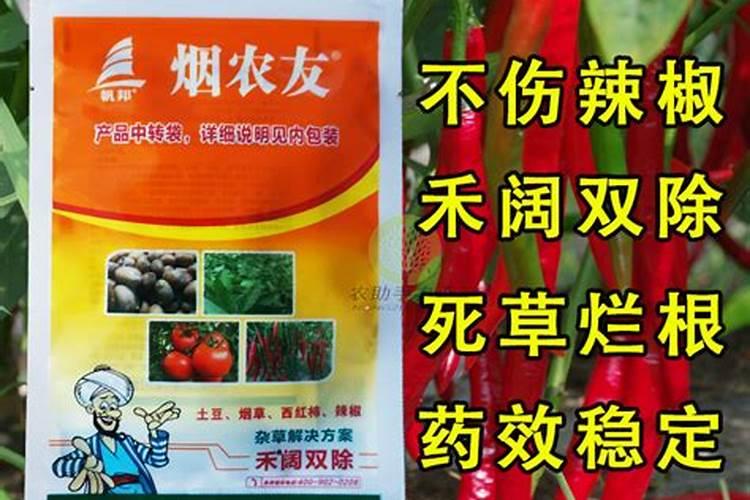 辣椒地打除草剂风大有的沾上了,嫩叶已经卷叶了,请问怎么办？