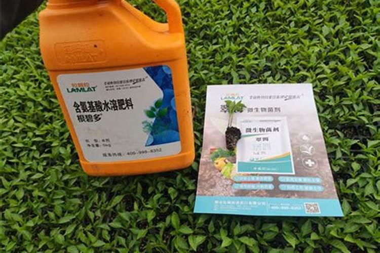 水溶肥的正确使用方法和用量
