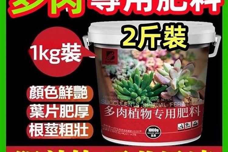 多肉肥料用多了会怎样？