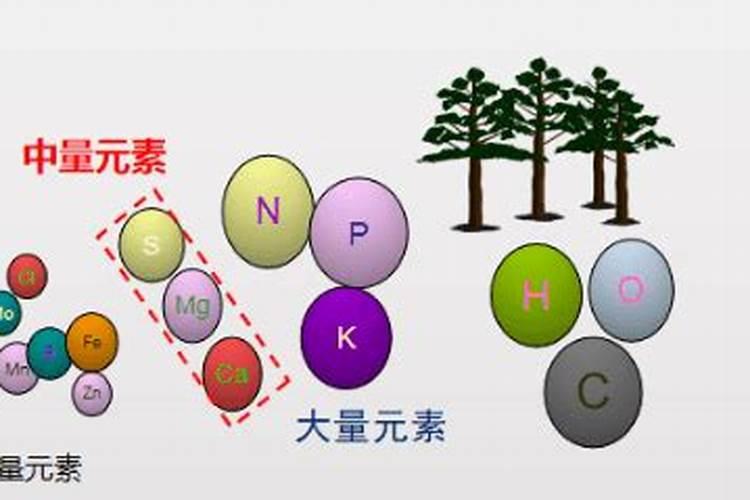 中量元素有哪些,对作物有什么作用,如缺乏有什么症状？