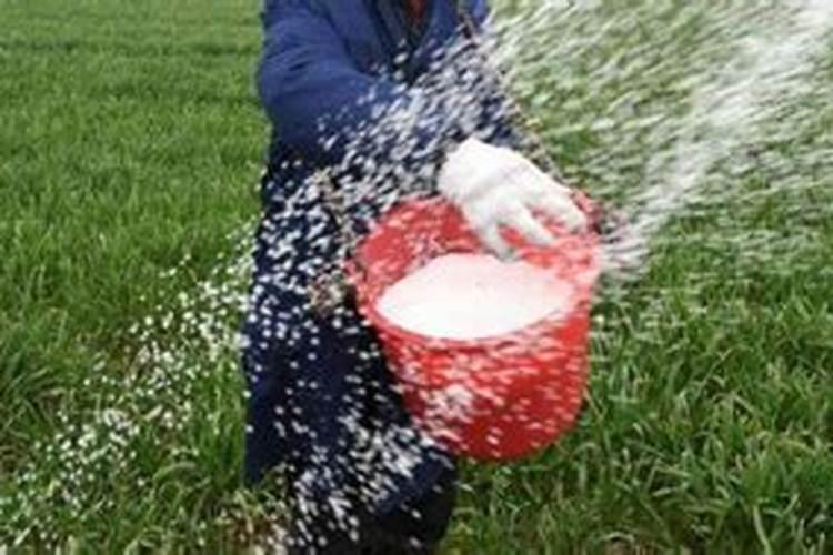 含氯肥料适合哪些作物