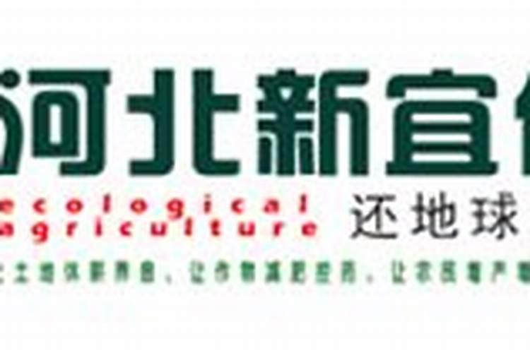 河北新宜化肥有限公司怎么样？