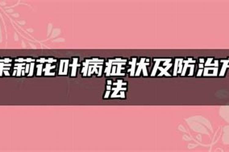 茉莉花叶病症状及防治方法