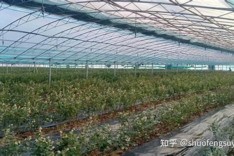 农膜的种类,农膜价格公斤多少钱