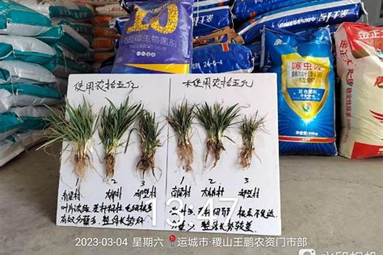 小麦用氧化钾好不好