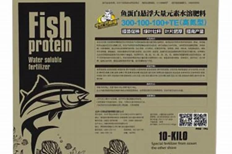 鱼蛋白补氮吗有用吗？
