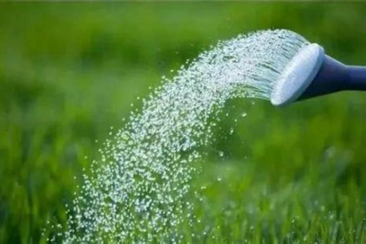 农药和化肥如何正确混用？避开这些禁忌