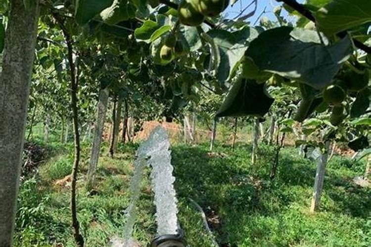 复合肥可以兑水喷叶子吗