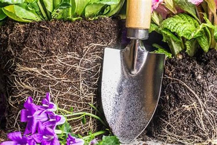 过磷酸钙可以兑水冲施吗