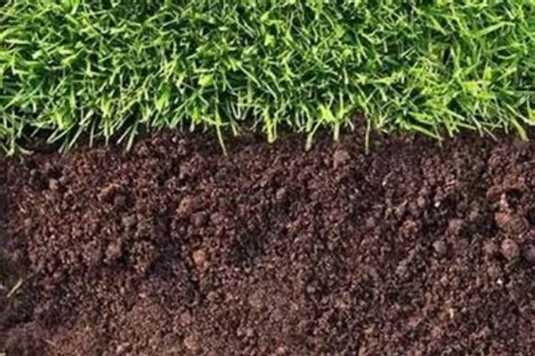 用什么改良碱性土壤