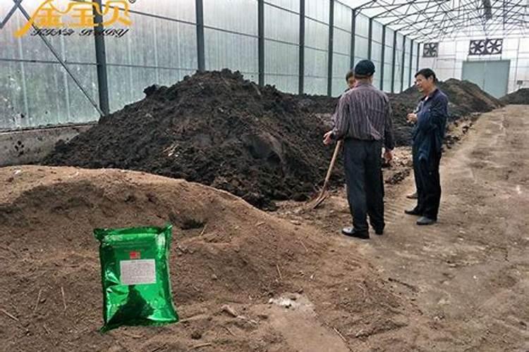 自制肥料怎么加快腐熟发酵？