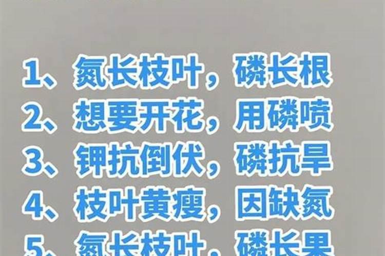 钾肥氮肥磷肥的作用口诀