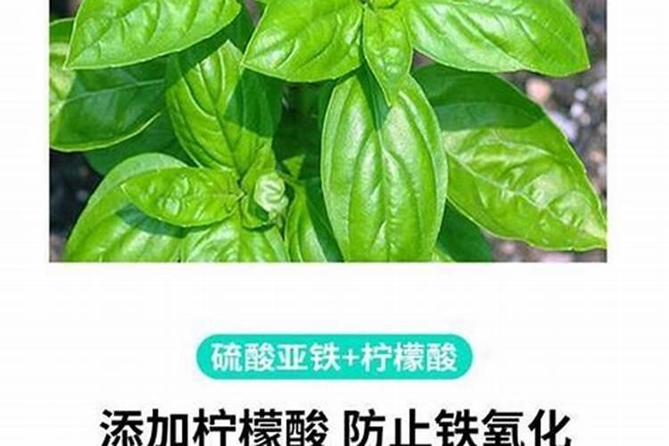 一般复合肥几天能见效 复合肥如何养花