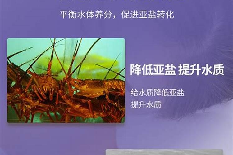 腐植酸钠在水产养殖中的用法