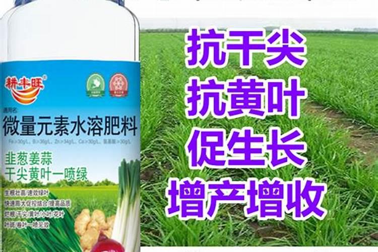 小葱喷什么叶面肥好看点又好养？