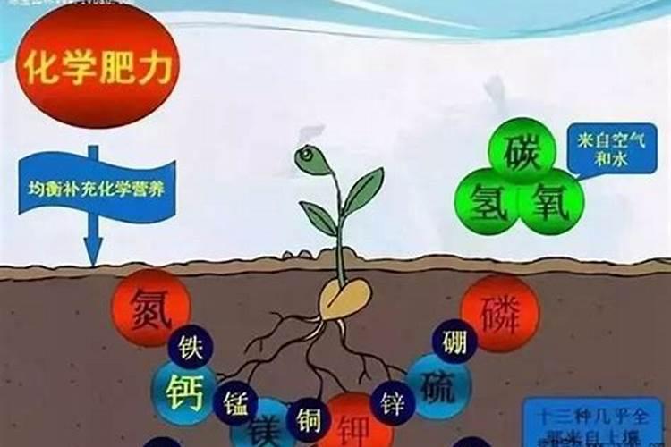 土壤中氮、磷、钾的含量有标准吗？