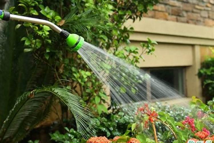 磷肥泡水可以浇花吗