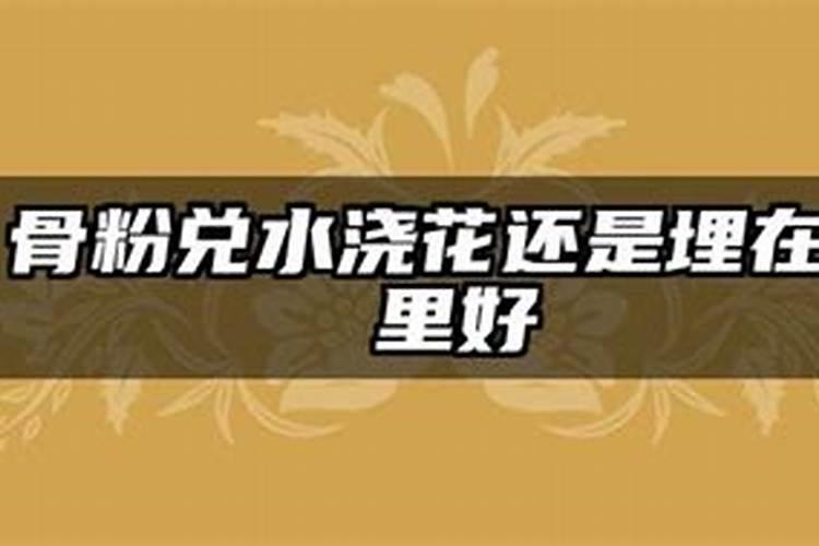 骨粉兑水浇花还是埋在土里好(怎么操作制作骨粉给花浇肥)