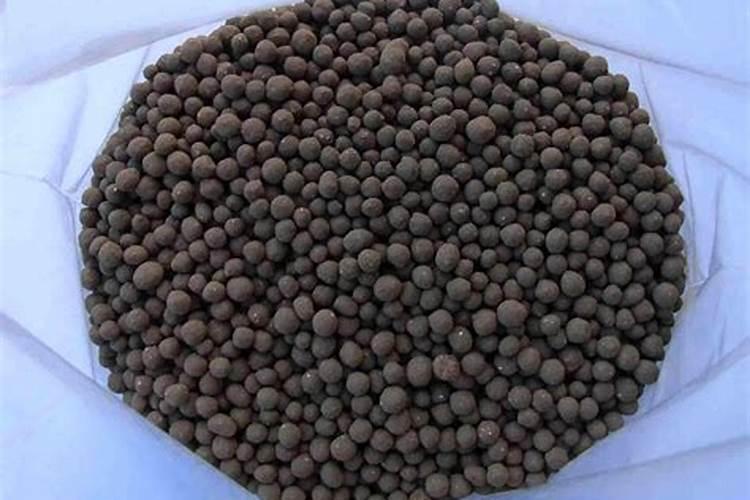 莲子怎么施磷肥最好？