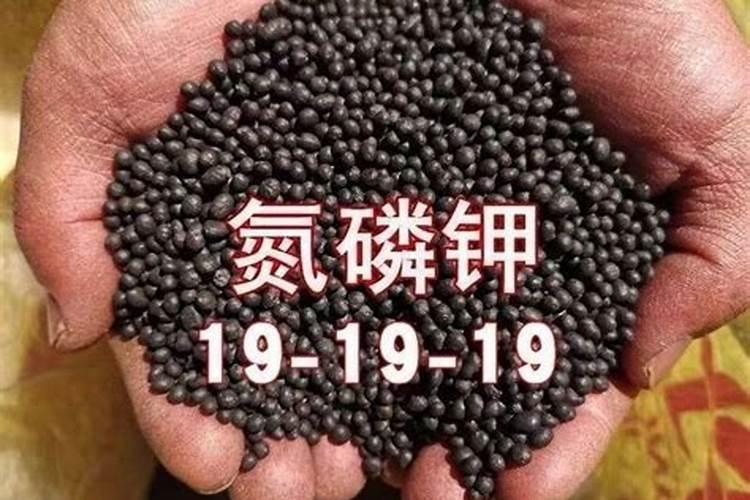 史丹利3个19含量的复合肥效果怎么样比掺混肥3个19的效果好吗