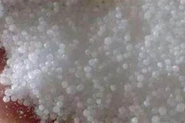 种菜用尿素还是复合肥