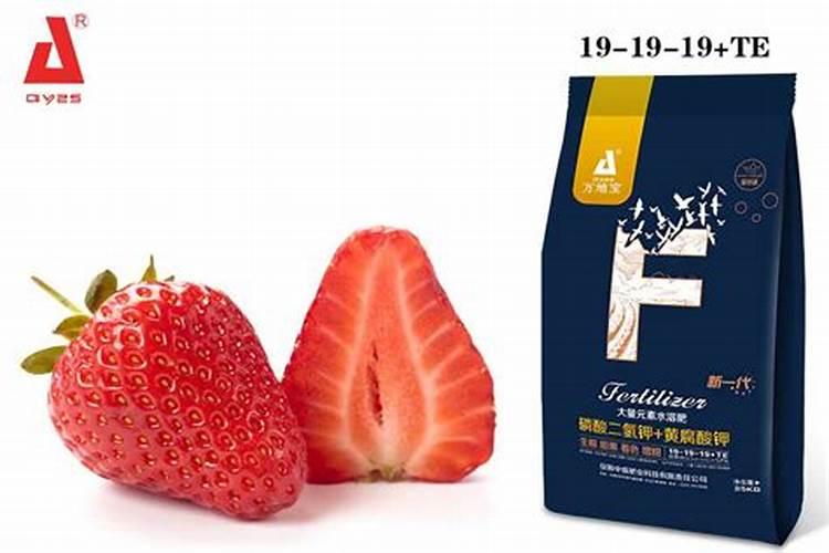 草莓用高钾肥还是平衡肥好？