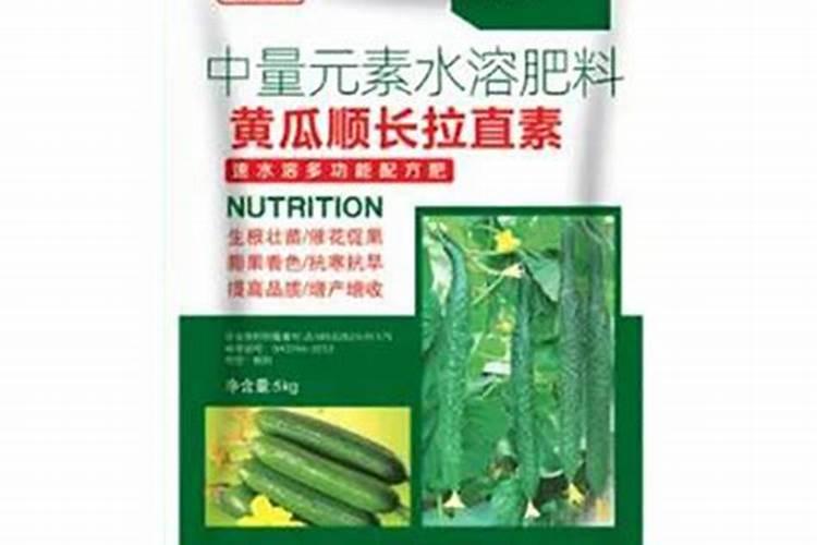 黄瓜喜欢中量元素肥吗为什么？