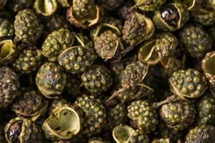 花椒可以用氮肥催芽吗为什么？