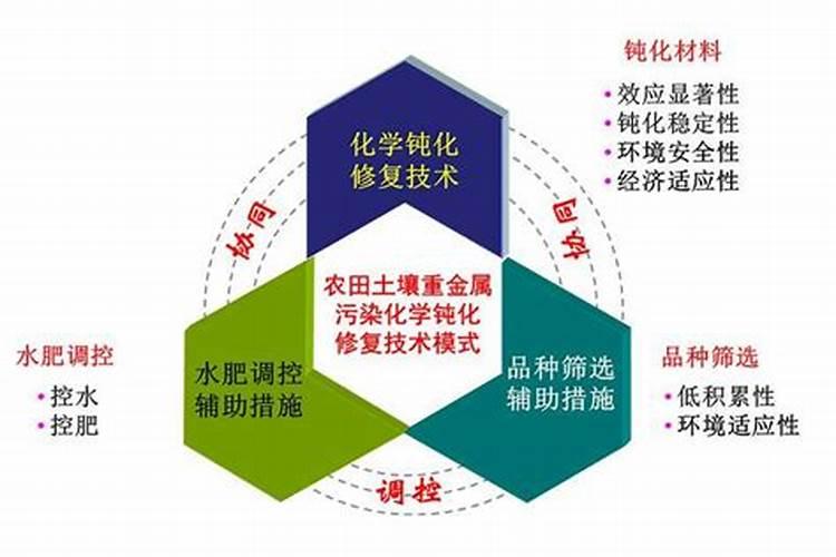 什么是土壤重金属钝化修复