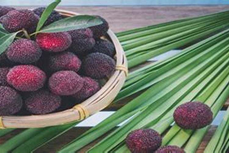 硼肥在杨梅膨果时期能增加种子的饱满度吗