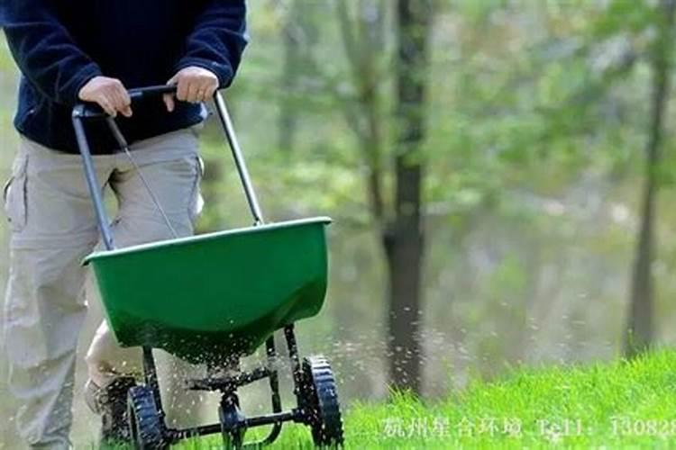 草坪一般怎么施肥,一般用量是多少,一年用几次肥