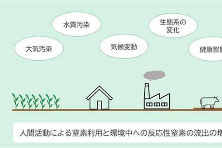 化学肥料 碳酸氢铵NH4HCO3 和氯化铵NH4CL 不都是氮肥吗 为什么气味不同...