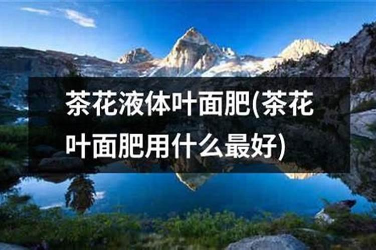 叶面肥加什么浇花最好用