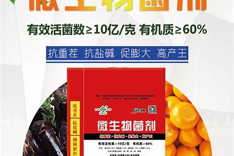 芝麻用什么肥料抪种 m.1988.tv