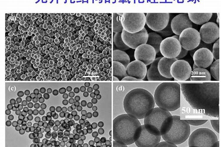 ...小颗粒,有的是空心的,有点像蜘蛛蛋,请问那是什么？