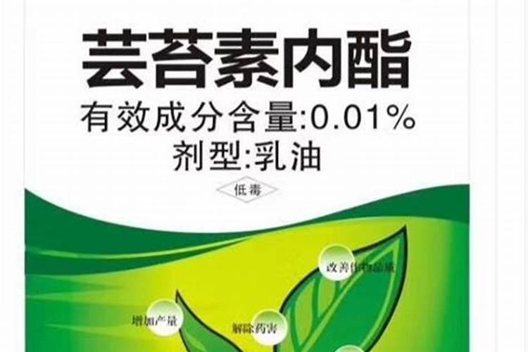 一篇文章告诉你芸苔素用好了绝对是个宝!