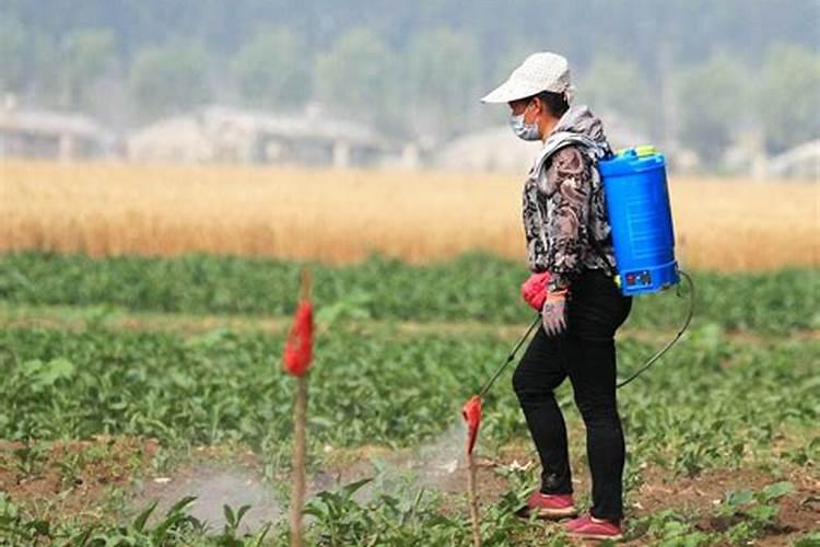 叶面肥配方方案