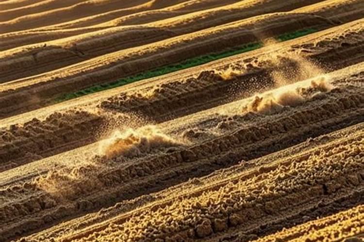 肥料放在地里会被太阳晒蒸发掉吗？