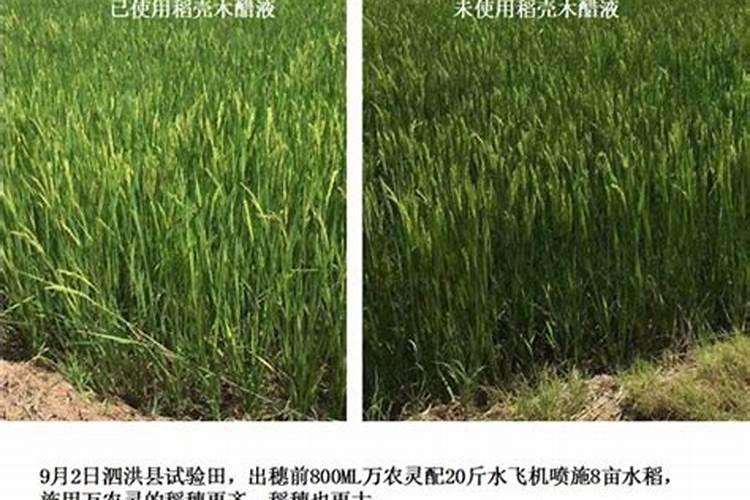 蔬菜叶面肥木醋液好用吗