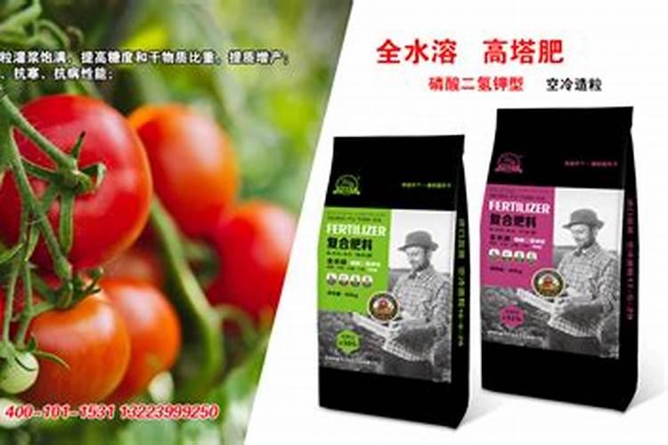 大棚番茄用什么复合肥
