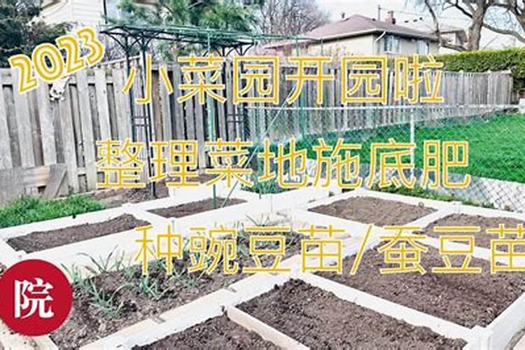 种菜撒化肥的技巧 种菜施底肥最佳方法分享