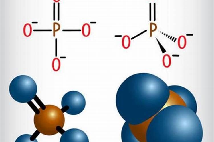 磷酸二铵会烧根吗