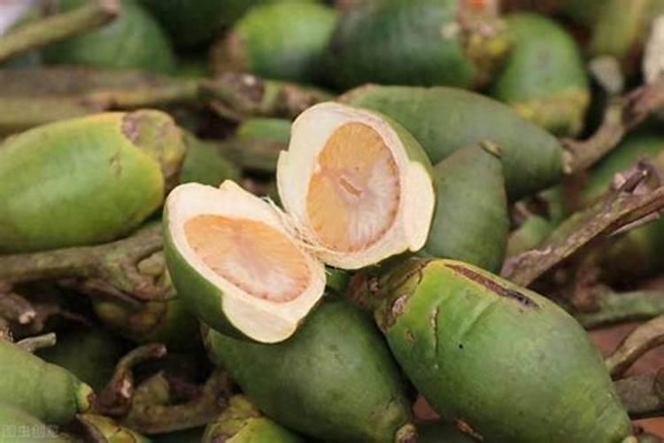 槟榔掉果什么原因