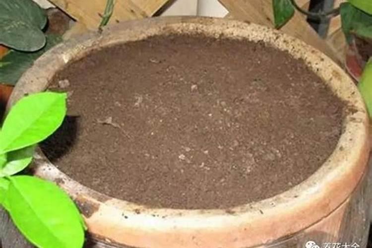 核桃壳怎样做花肥