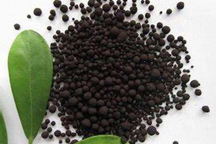 腐殖酸类肥料在使用的时候,应该注意什么？