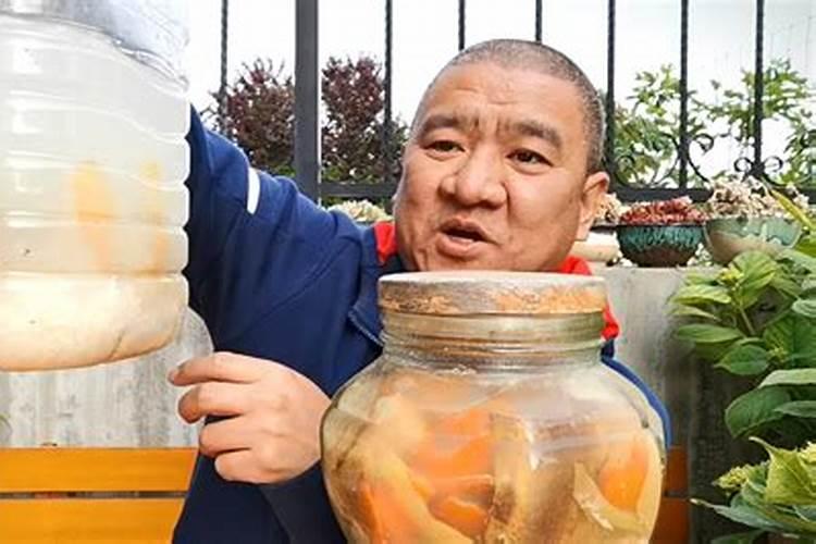 家庭自制有机肥发酵方法大全