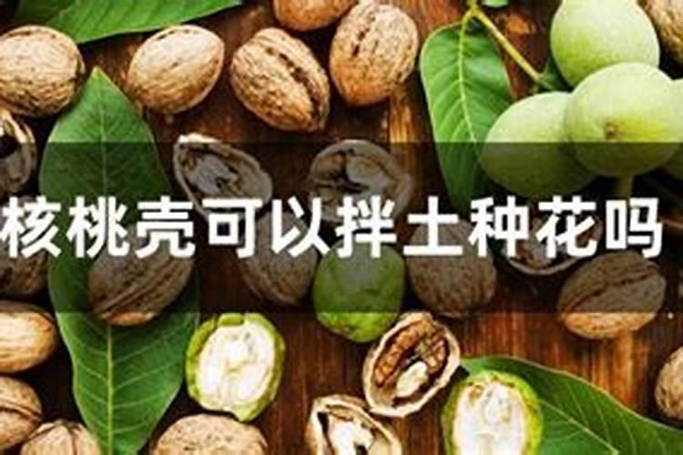 核桃壳可以做花土吗 核桃壳种花处理方法