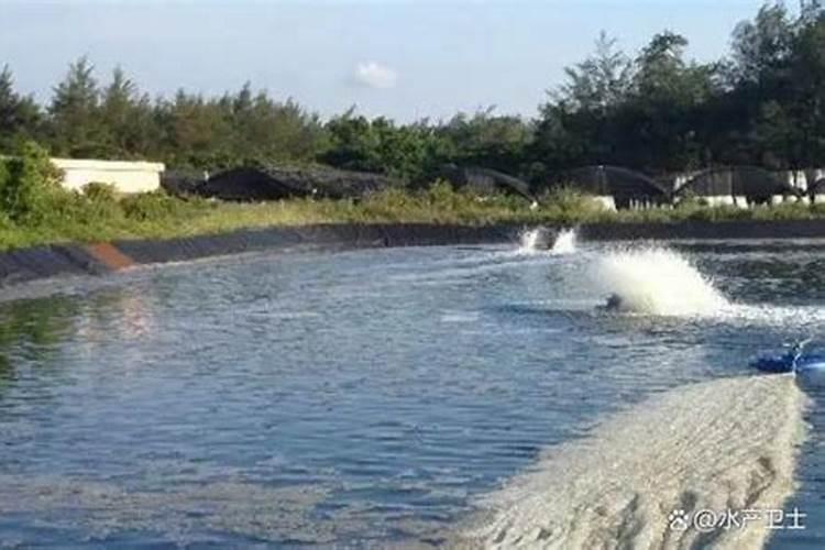 水瘦怎么快速肥水