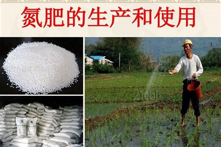 氮肥的生产成本是多少元每吨？