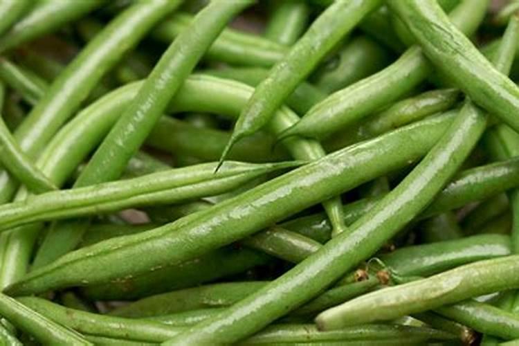 鱼蛋白海藻素对豆角的好处有哪些？